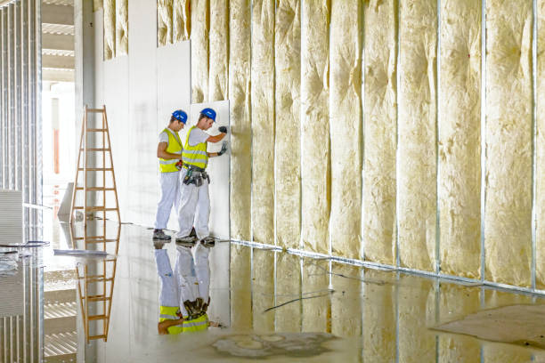 Best Spray Foam Insulation in Winfield, WV